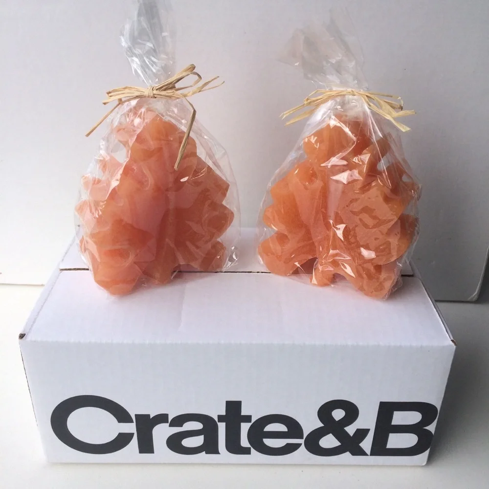 Crate&Barrel Leaf Candles Set of Two 6 hour burn
